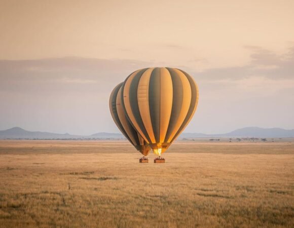 2 DAYS SERENGETI SAFARI