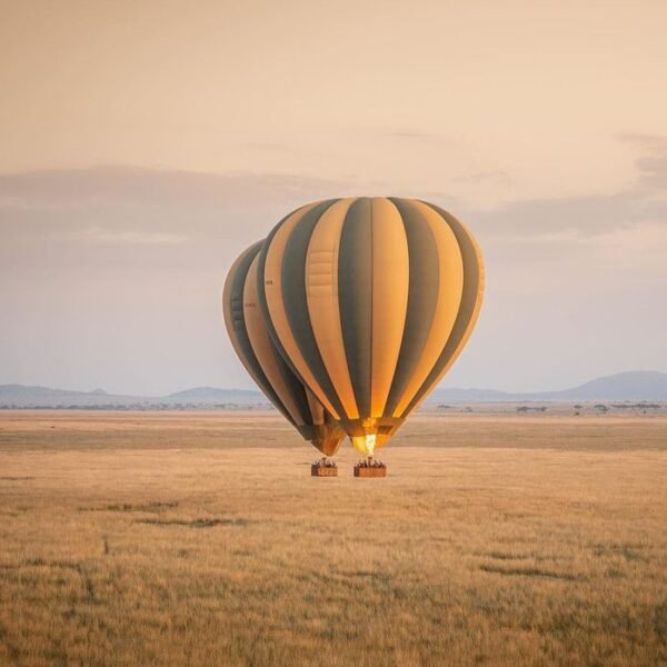 2 DAYS SERENGETI SAFARI