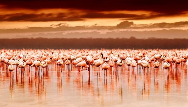 Lake Manyara 